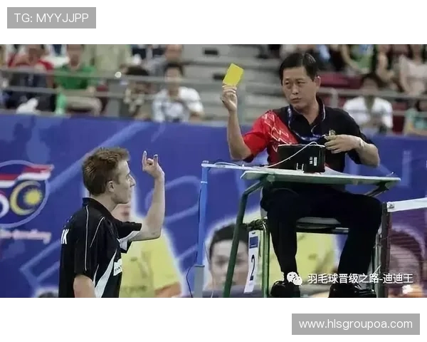 与李芳畅谈羽毛球生涯的辉煌与挑战之路 与李芳畅谈羽毛球生涯的辉煌与挑战之路