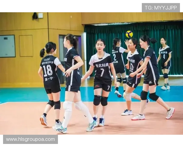 南京排球队在阵地战中的表现分析与未来展望