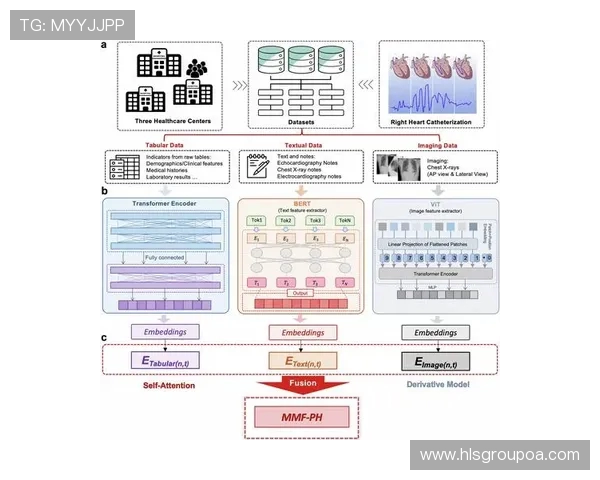 南京飞盘队快攻战术解析与实战应用的深度分析 南京飞盘队快攻战术解析与实战应用的深度分析