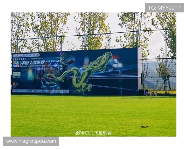 成都飞盘队与武汉飞盘队赛后战术分析与总结探讨