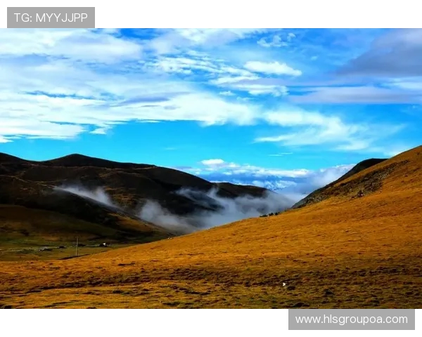 崔永熙的艺术之路与人生哲学探讨：从初心到巅峰的心灵旅程