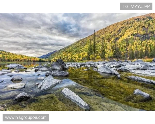 探索阿拉巴的历史与文化魅力,揭开这片土地的神秘面纱与独特风情 探索阿拉巴的历史与文化魅力,揭开这片土地的神秘面纱与独特风情