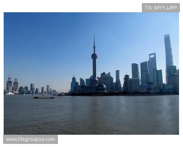 上海篮球队的奋斗历程与荣耀时刻全景纪实