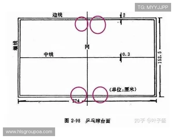 成都乒乓球队实力深度对比分析及未来发展潜力探讨